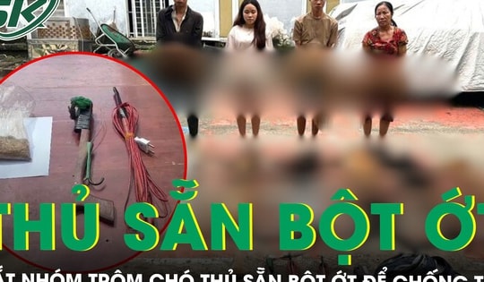 Phẫn nộ lời khai của nhóm trộm chó dùng súng điện, thủ sẵn bột ớt để chống trả khi bị truy đuổi