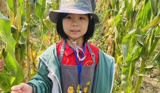 Học sinh đi tham quan, trải nghiệm: Cần lưu ý gì để đảm bảo an toàn?