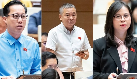 Thiên tai ngày càng khốc liệt, ĐBQH đề nghị giữ rừng, xử lý phá rừng lấy gỗ và làm dự án