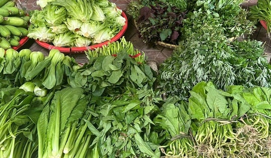 Ăn gì để vừa tiết kiệm vừa đủ vitamin khi rau xanh tăng giá mạnh?