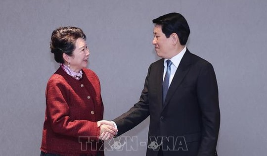 Chủ tịch nước Lương Cường tiếp Nhà sáng lập Tập đoàn MEBO International