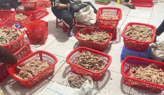 Phát hiện hàng tấn chân gà và xúc xích không rõ nguồn gốc ở Lạng Sơn