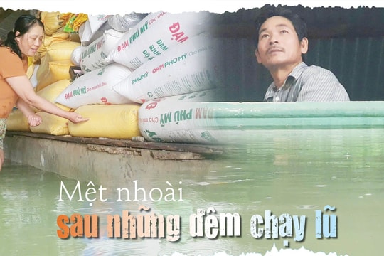 Cuộc sống người dân Đà Nẵng khốn đốn sau trận lũ lịch sử tháng 10