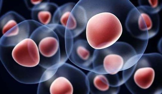 Phát hiện đột phá về 'chìa khóa' làm chậm quá trình lão hóa