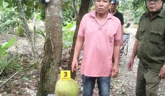 Cơ sở pháp lý vụ người đàn ông bị khởi tố vì trộm hai trái mít trị giá 387.000 đồng