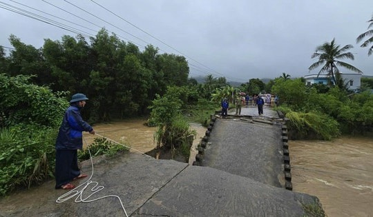 Bộ Nông nghiệp và Môi trường chỉ đạo khắc phục sự cố thiên tai gãy cầu Cây Sung ở Quảng Ngãi