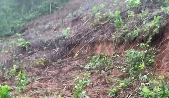 Đỉnh đồi ở Huế xuất hiện vết nứt hở hơn 1m