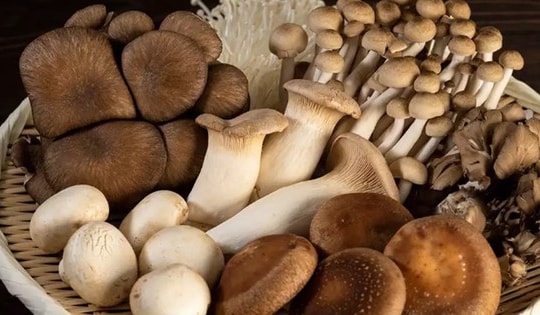 3 loại rau cần tránh ở người tăng axit uric trong mùa mưa