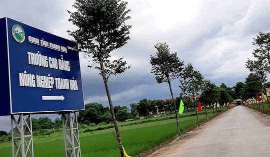 Học sinh lớp 10 ở Thanh Hoá bị bạn cùng trường đánh hội đồng dẫn tới nguy kịch