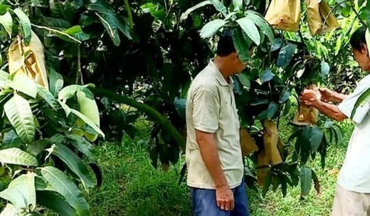 Vĩnh Long: Hướng đến mục tiêu giảm nghèo bền vững, toàn diện