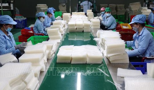 Chính phủ bãi bỏ toàn bộ hoặc một phần đối với 10 nghị định