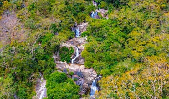 Mở rộng Khu dự trữ sinh quyển Núi Chúa: Kết nối rừng, biển và sinh kế cộng đồng