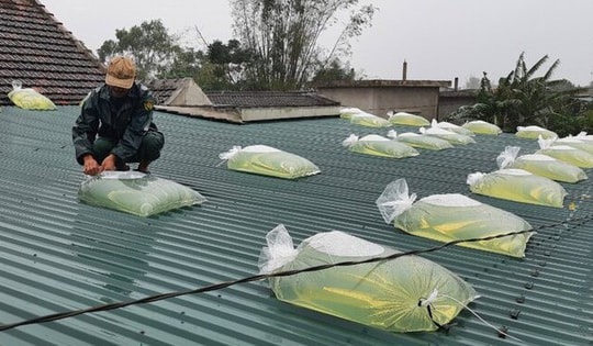 Hướng dẫn người dân bảo vệ nhà cửa trước khi bão số 13 đổ bộ