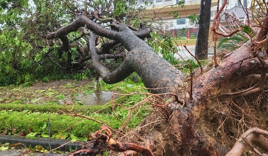 Bão số 13 đặc biệt nguy hiểm với cường độ rất lớn