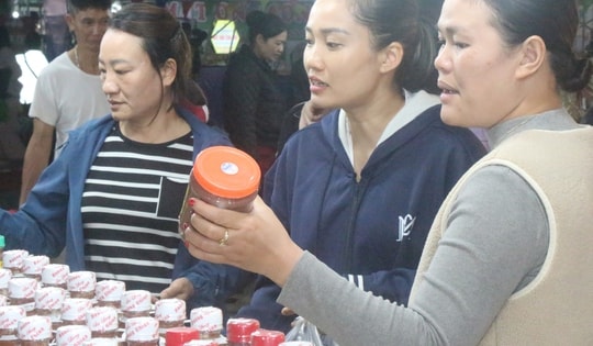 Hội chợ lớn nhất Hải Phòng sau sáp nhập có gì đặc biệt?