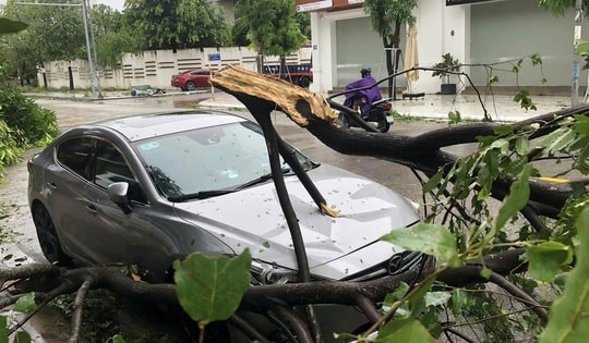 Chủ tịch UBND TPHCM chỉ đạo khẩn phòng, chống bão Kalmaegi