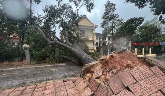 Nguy cơ tàn phá rất lớn khi bão số 13 đổ bộ đêm nay