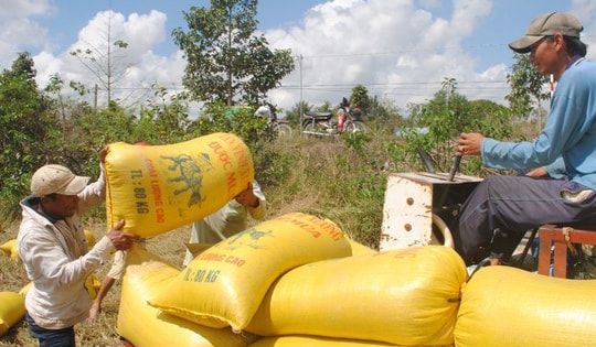 Đồng Tháp: Nhiều giải pháp hiệu quả để giảm nghèo bền vững