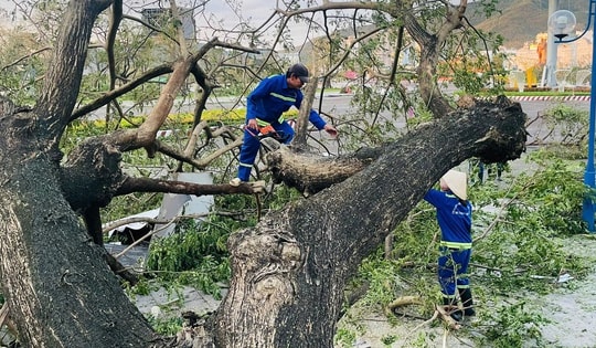 Quy Nhơn tan hoang sau bão số 13: Trụ đèn gãy đổ cả loạt, nhiều ngôi nhà tốc mái