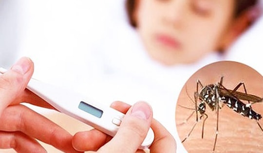 Lâm Đồng ghi nhận gần 7.000 ca sốt xuất huyết Dengue, 3 người tử vong