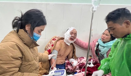 Trưởng thôn bị gấu rừng tấn công đã ổn định sức khoẻ