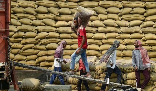 Cầu yếu, cung tăng gây sức ép lên giá gạo xuất khẩu của các nước châu Á