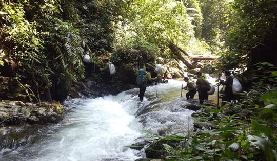 Dấu chân 'thép' của những chiến sĩ bảo vệ rừng Pù Mát giữa đại ngàn