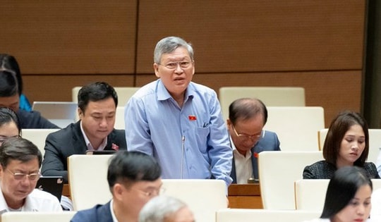 ĐBQH đề nghị phụ nữ sinh đủ 2 con, không giới hạn độ tuổi đều được hưởng chính sách dân số