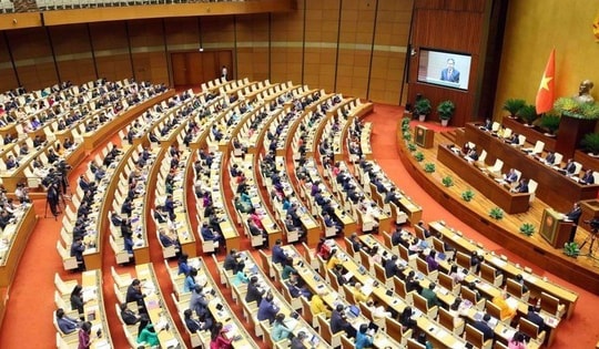 Quốc hội thực hiện công tác nhân sự, thảo luận dự án Luật Phòng bệnh, Luật Dân số