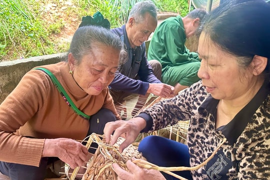 Nghề đan bèo tây… đi Tây