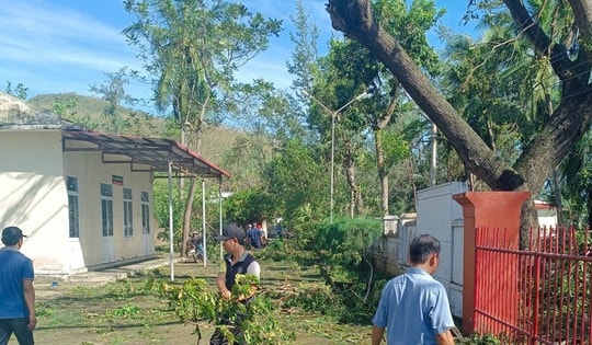 Bệnh viện Phong - Da liễu Trung ương Quy Hòa khẩn trương khắc phục thiệt hại nặng bão số 13