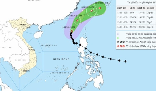 Vì sao bão số 14 có đường đi bất thường?