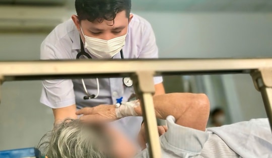 Cụ bà làm vườn nguy kịch vì vết đốt ở nách