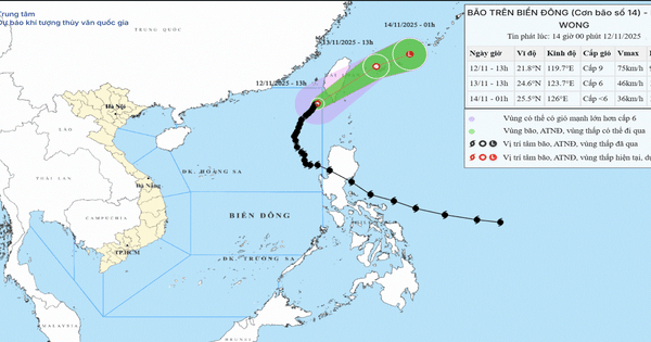 Không khí lạnh tăng cường từ đêm nay, bão số 14 suy yếu trên Biển Đông
