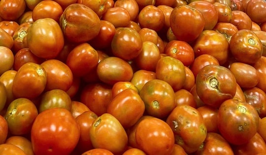 Giá cà chua chạm mốc 60.000 đồng/kg, nhiều bà nội trợ 'giật mình' khi đi chợ