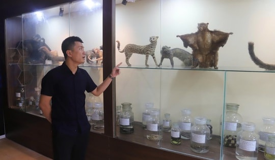 Bên trong bảo tàng lưu giữ nguồn gen quý hiếm của Khu bảo tồn thiên nhiên Pù Huống