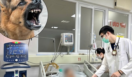 Thanh niên tử vong sau 6 tháng bị chó cắn không tiêm phòng dại