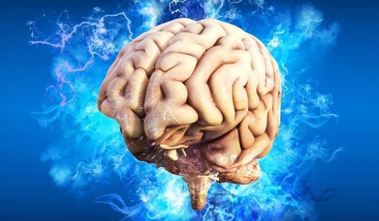 Vi khuẩn trong khối u não có thể đóng vai trò bất ngờ trong sự phát triển ung thư