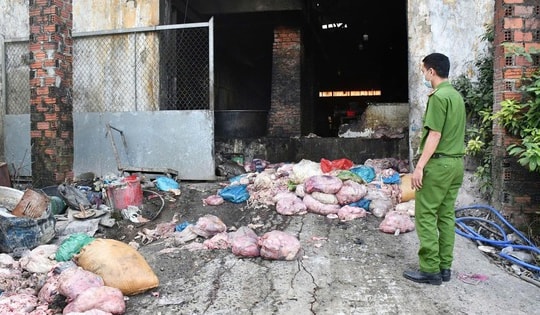 Phát hiện công nhân đang chế biến mỡ động vật trong khu nghĩa trang