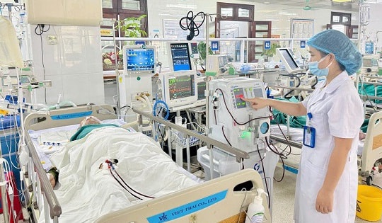 Cấp cứu, điều trị thành công bệnh nhân suy đa tạng do ong vò vẽ đốt