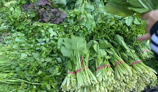 Giá rau 'phi mã' sau bão, bữa cơm gia đình Thủ đô chịu áp lực nặng nề