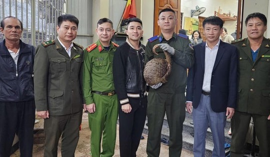 Người dân Hà Tĩnh giao nộp hai cá thể động vật hoang dã quý hiếm