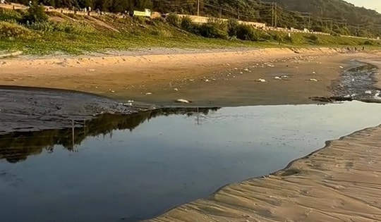 Xả nước đen bốc mùi ra biển Mũi Né, Khu du lịch Asteria bị phạt 50 triệu đồng