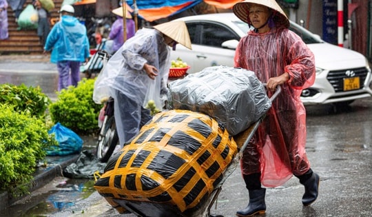 Bộ Nông nghiệp và Môi trường yêu cầu ứng phó khẩn với đợt rét hại