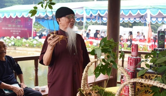 Xây dựng trung tâm sâm Ngọc Linh từ chế biến sâu và cuộc chiến bảo vệ thương hiệu