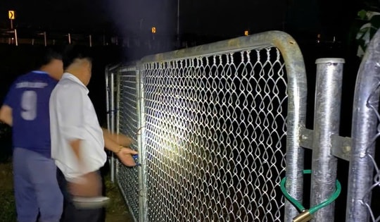 Bò đi vào cao tốc, chủ đầu tư cảnh báo và yêu cầu xử lý việc tự ý phá hàng rào