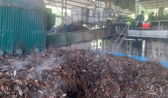 Lào Cai: Biến dược liệu bản địa thành ngành kinh tế mũi nhọn