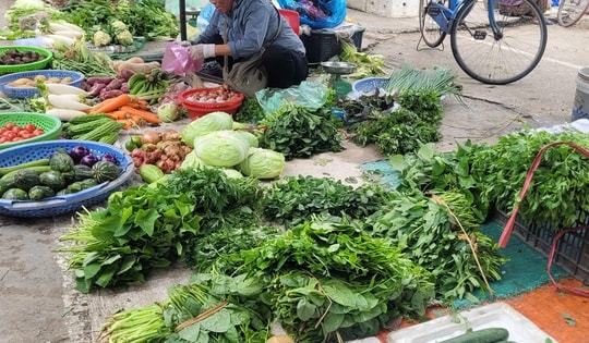 Gia đình thu nhập thấp xoay xở thế nào khi rau xanh là mặt hàng rẻ nhất cũng trở thành xa xỉ sau bão?