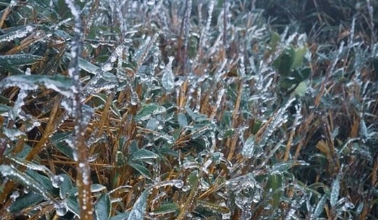 Vùng núi phía Bắc xuất hiện băng giá