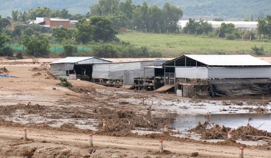 Lâm Đồng: Kịp thời giải cứu bé gái khỏi sạt lở
